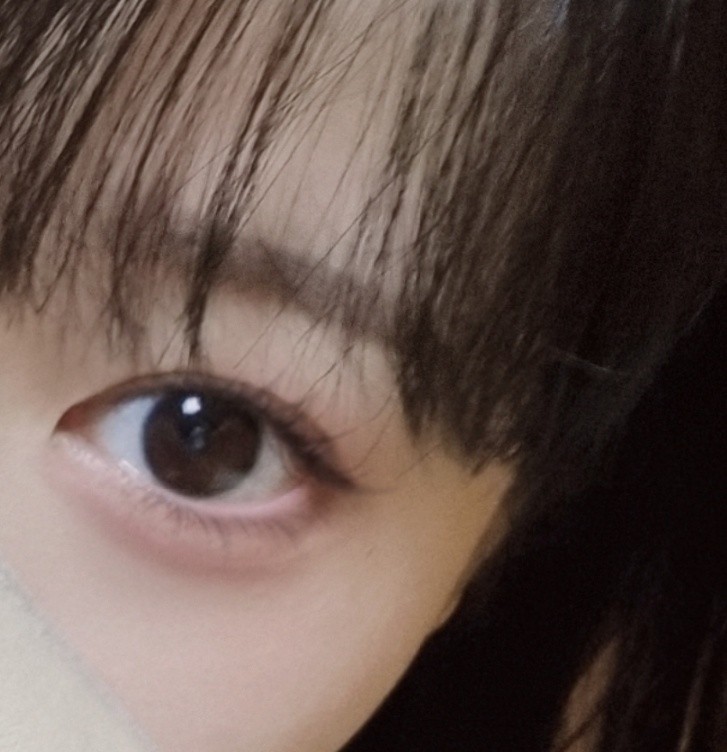 슈   ˢᵘᵉ꒰ ᵕ̈꒱