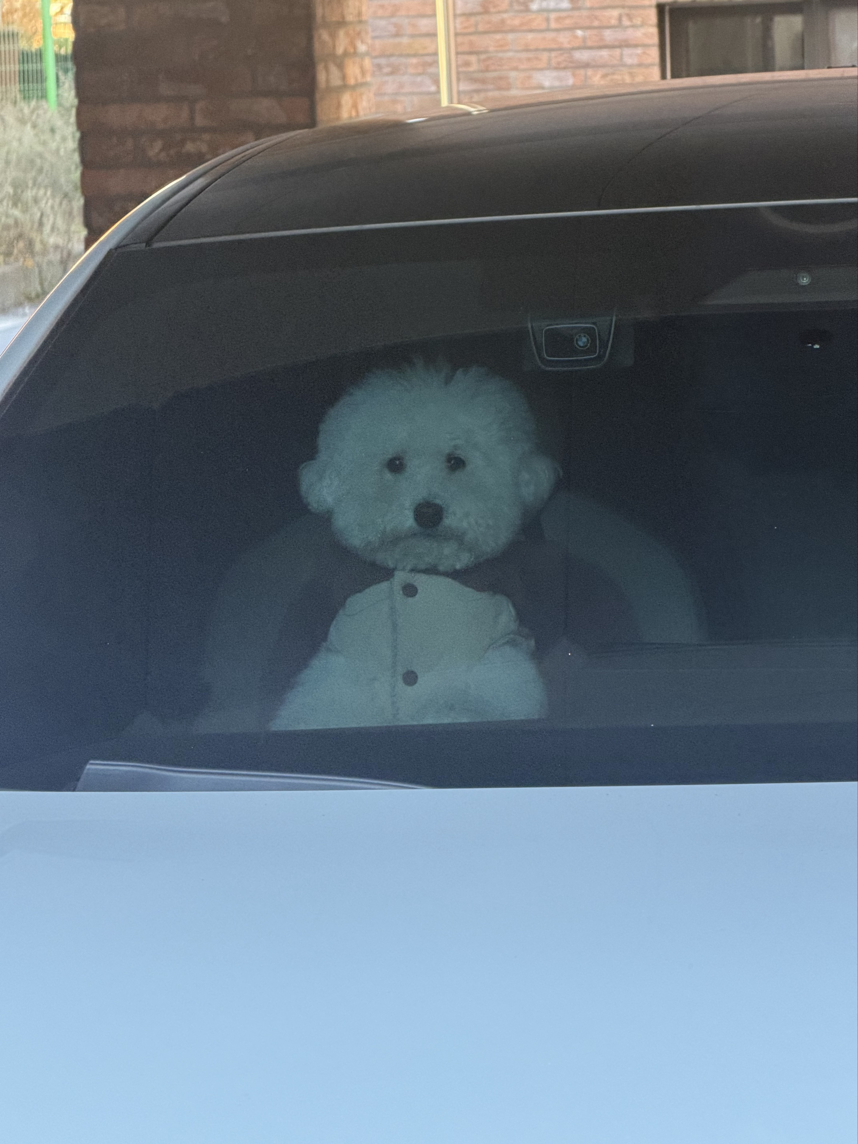 👶🏻 송 루 피  ☠️