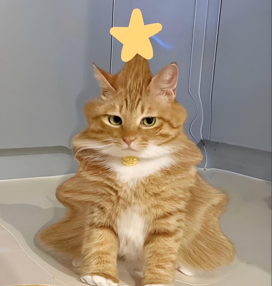 뭉양