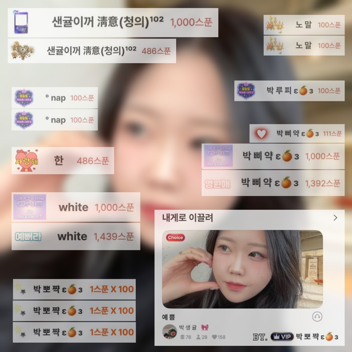 박 생 귤   🎀