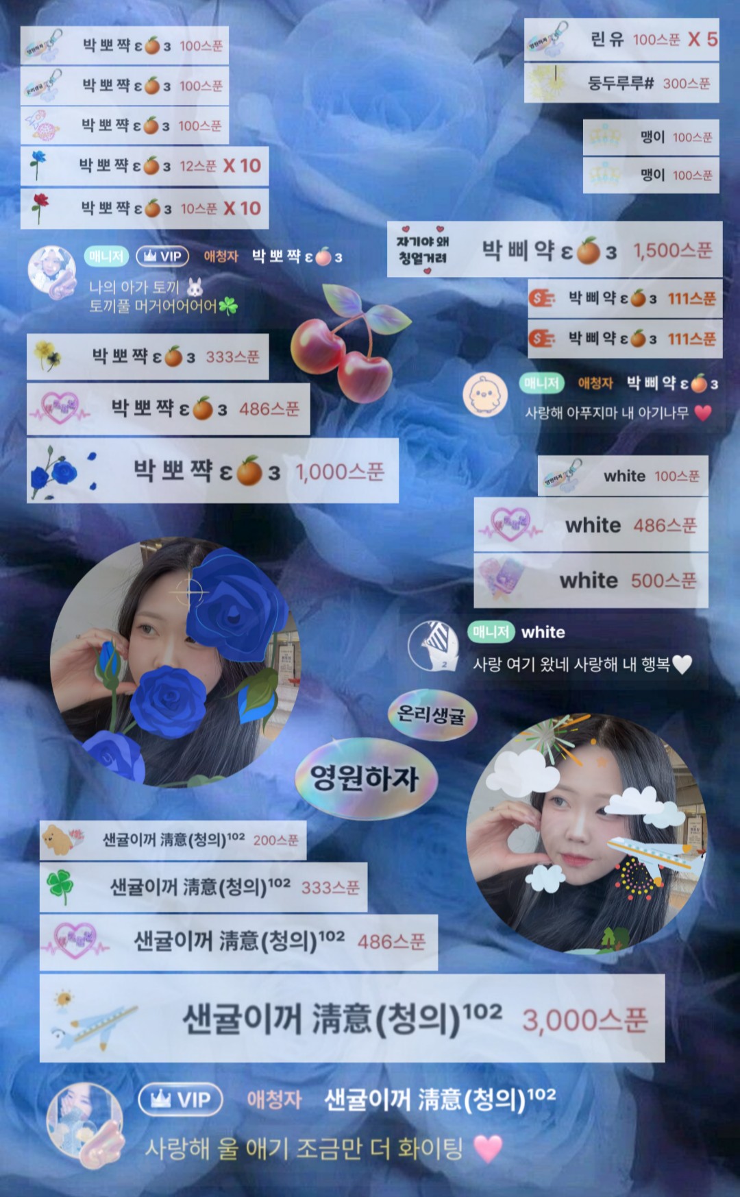 박 생 귤    🎀