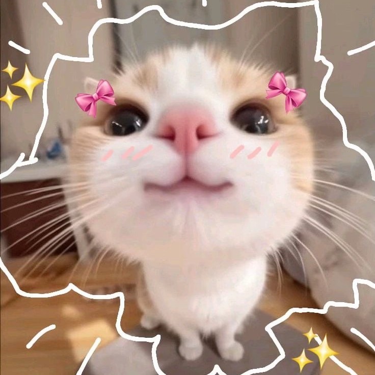 𝘙𝘰𝘤𝘰𝘣𝘦𝘳𝘳𝘺