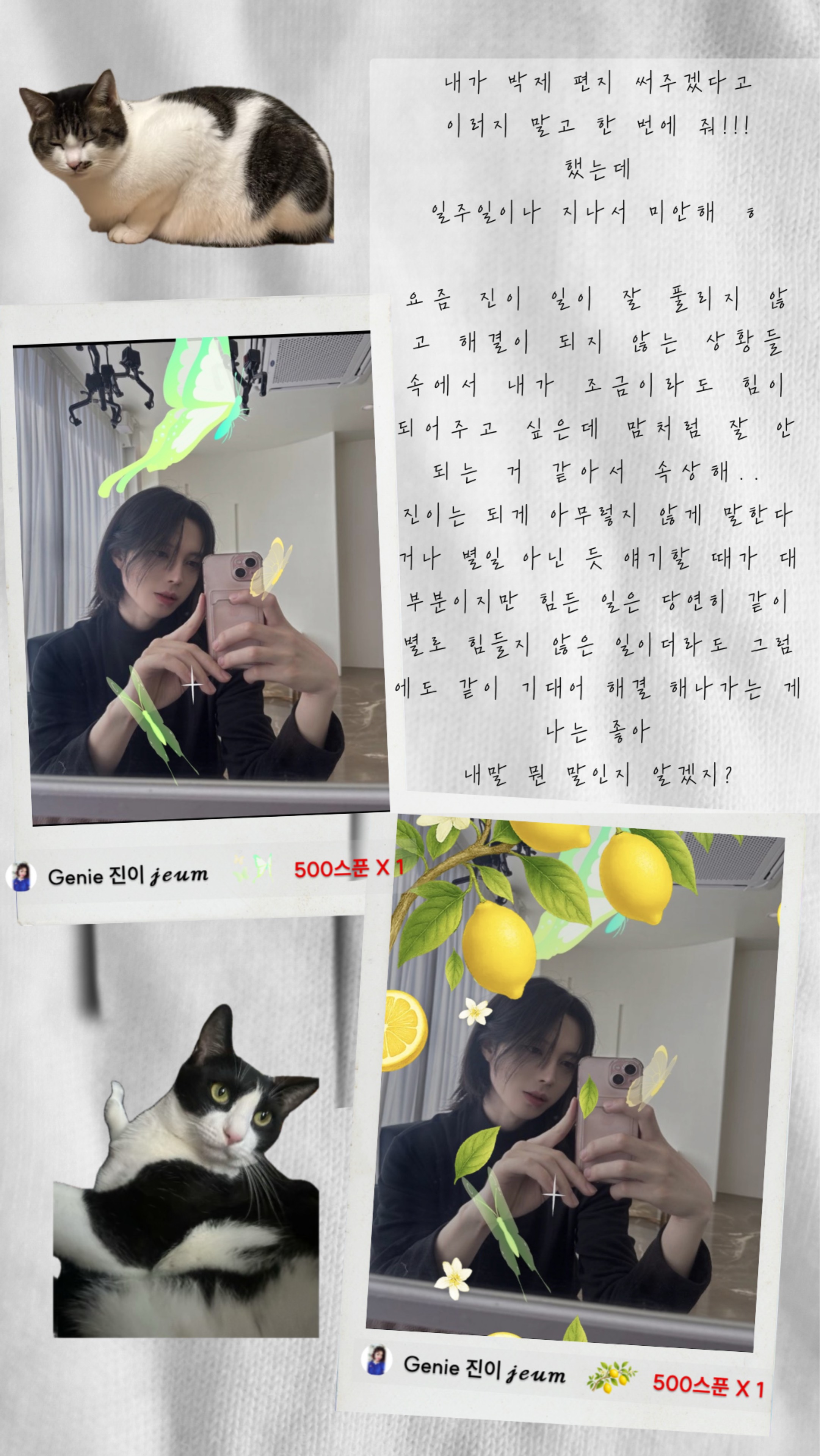 지 음 𝒿ℯ𝓊𝑚