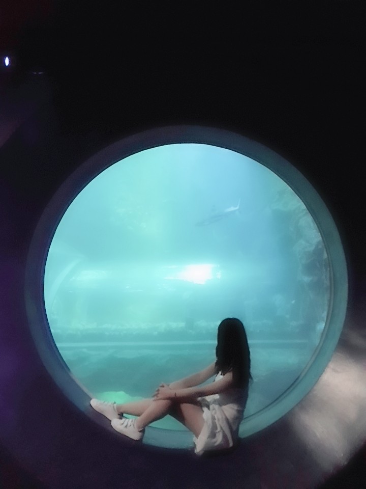 라이징 ﾒ  마뇽˒