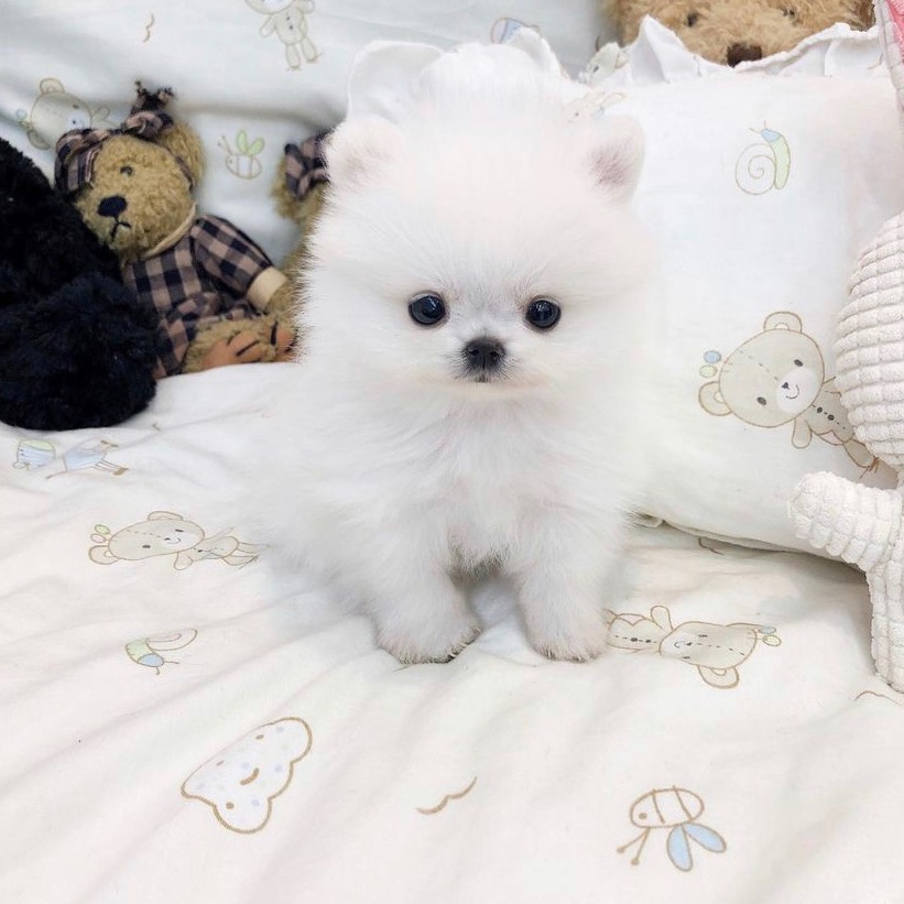 ♡̷̷̷  하 율