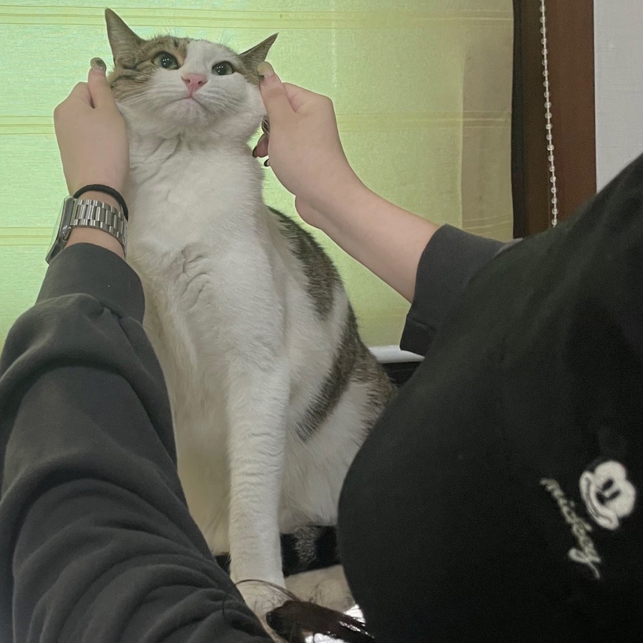 𝐒.신기루.·̩͙*