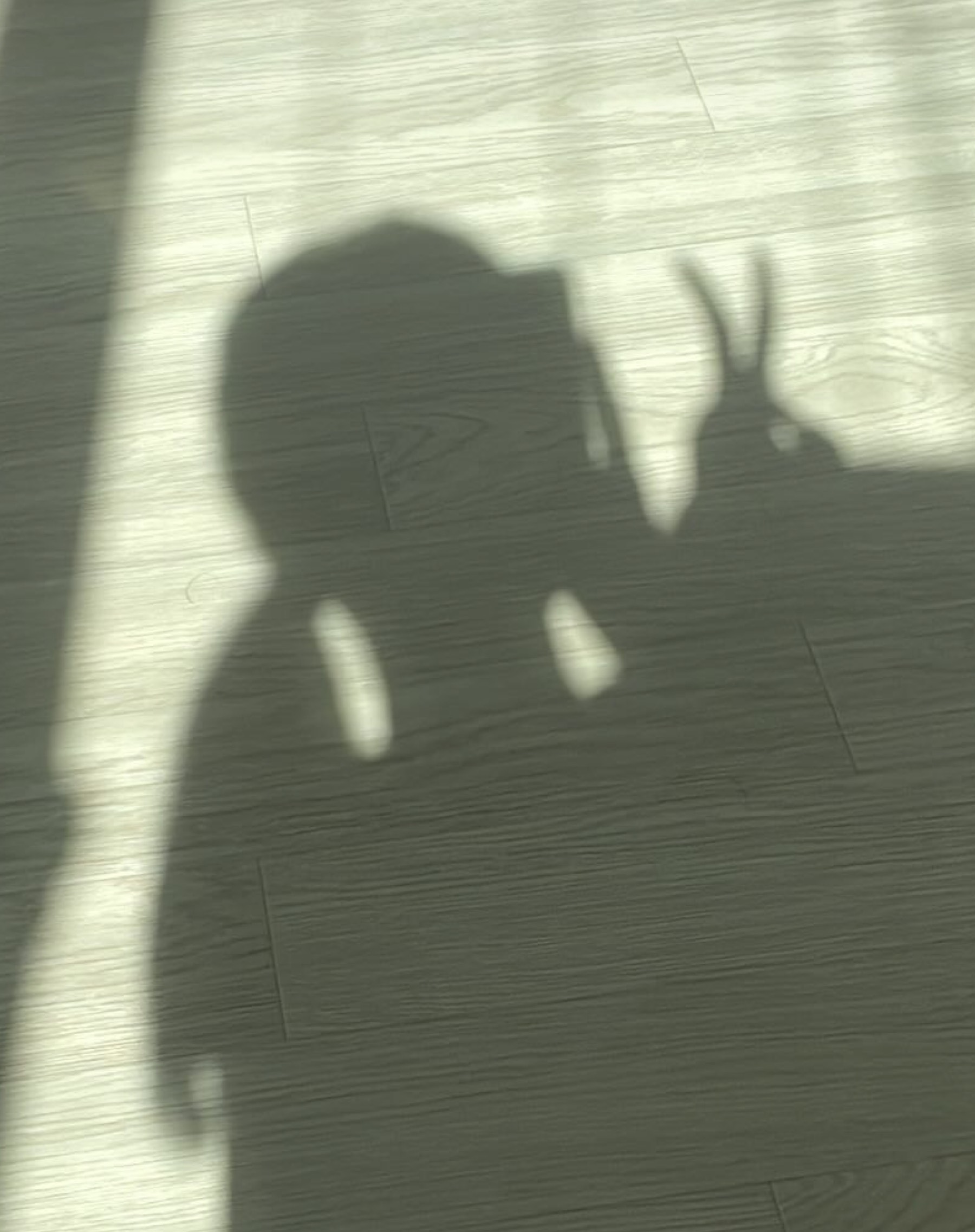 𝑠𝑖𝑚𝑝𝑙𝑒