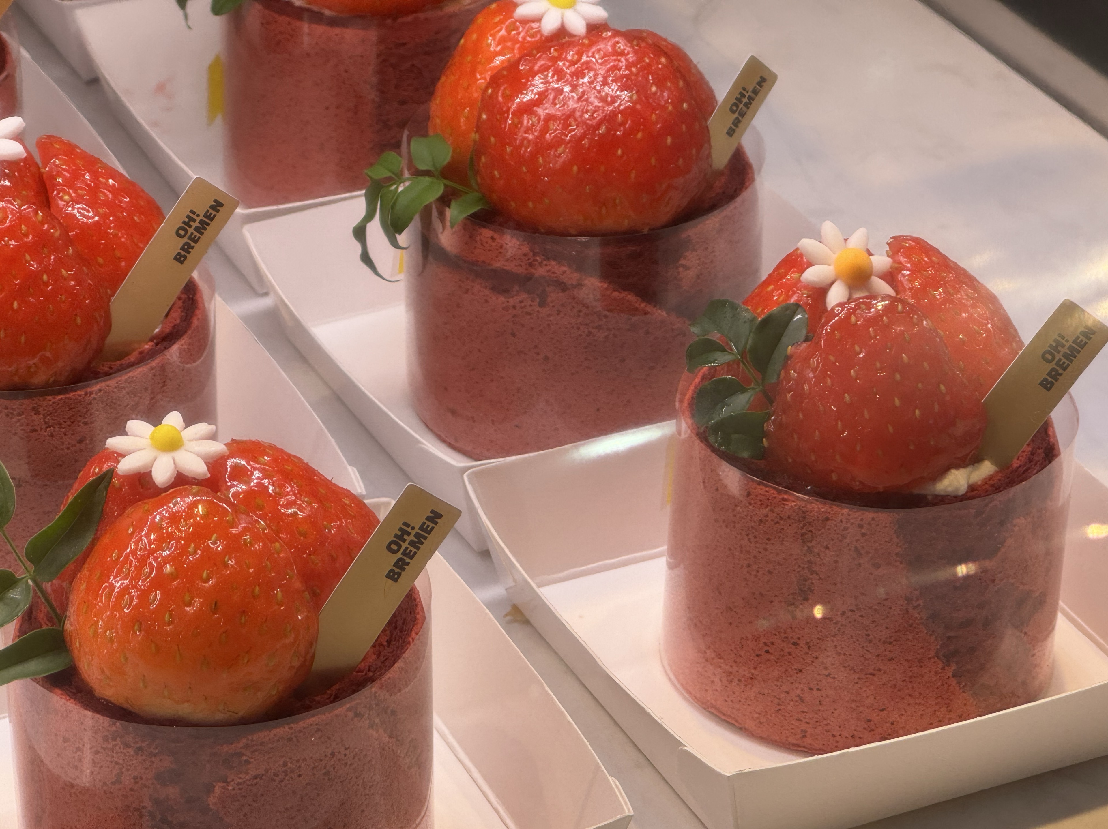 𝔸𝔼기억             ꨇ