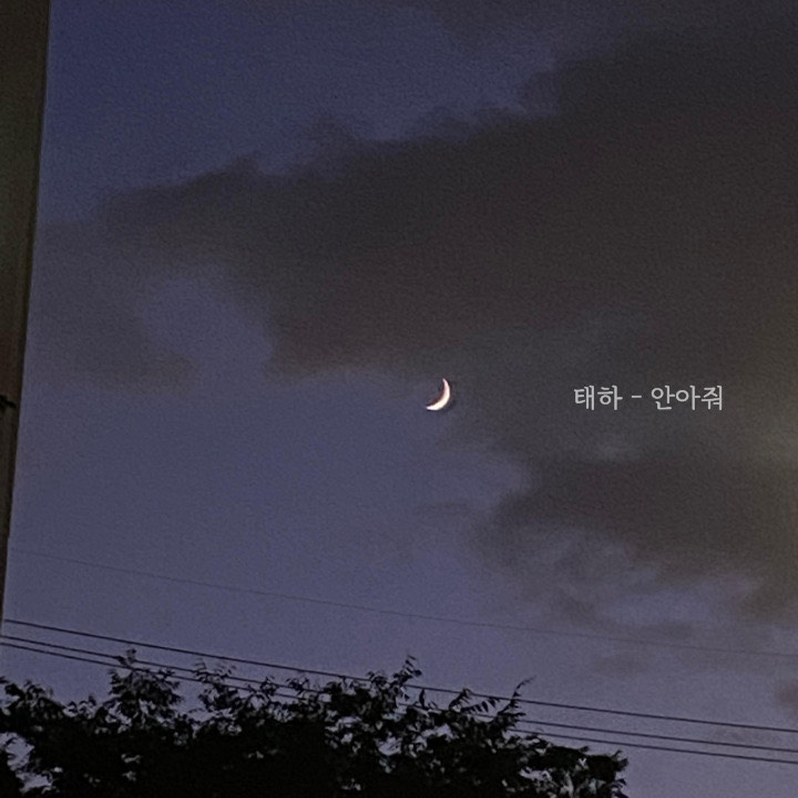 태 하  ❃