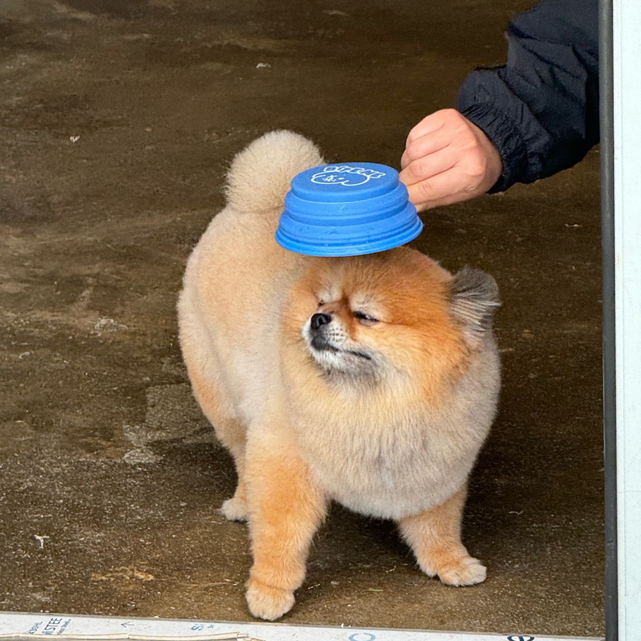스푼 | 멍 지 검색 결과