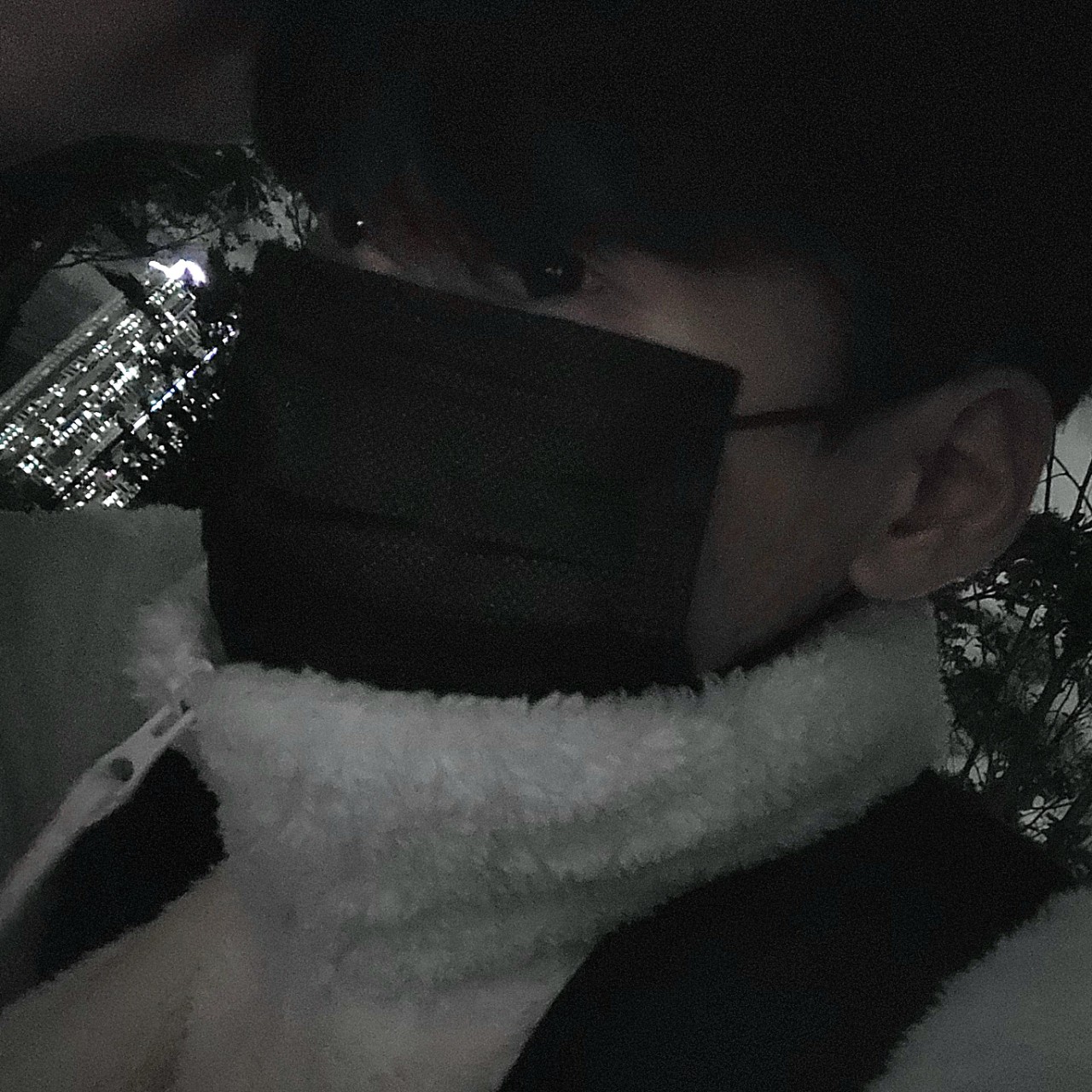 들낙충