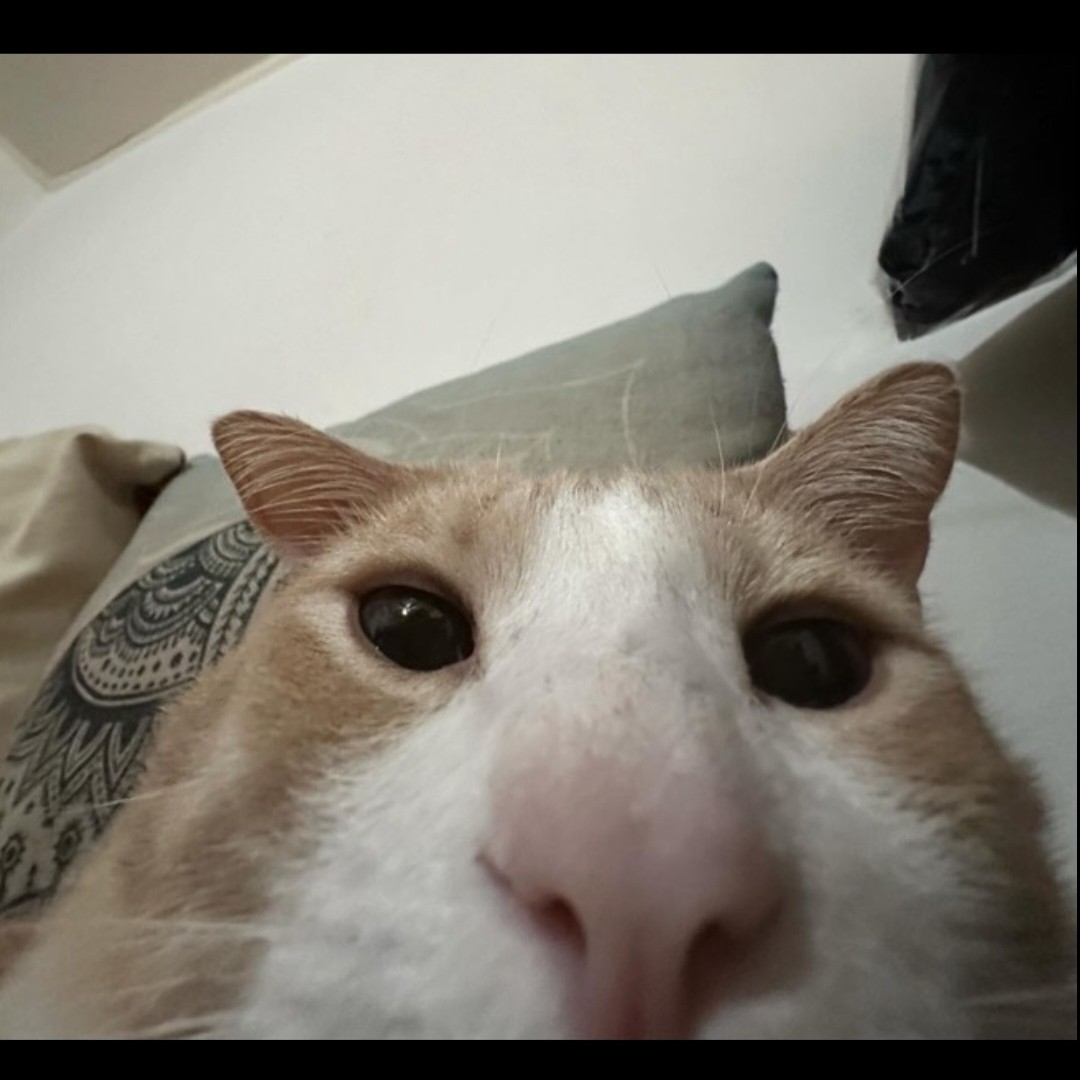민가