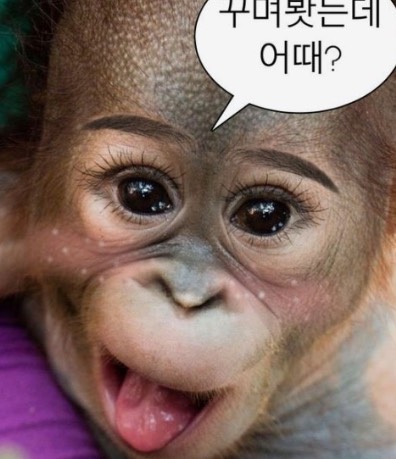 ˗ˏ🌙 𝘥𝘰𝘰𝘣