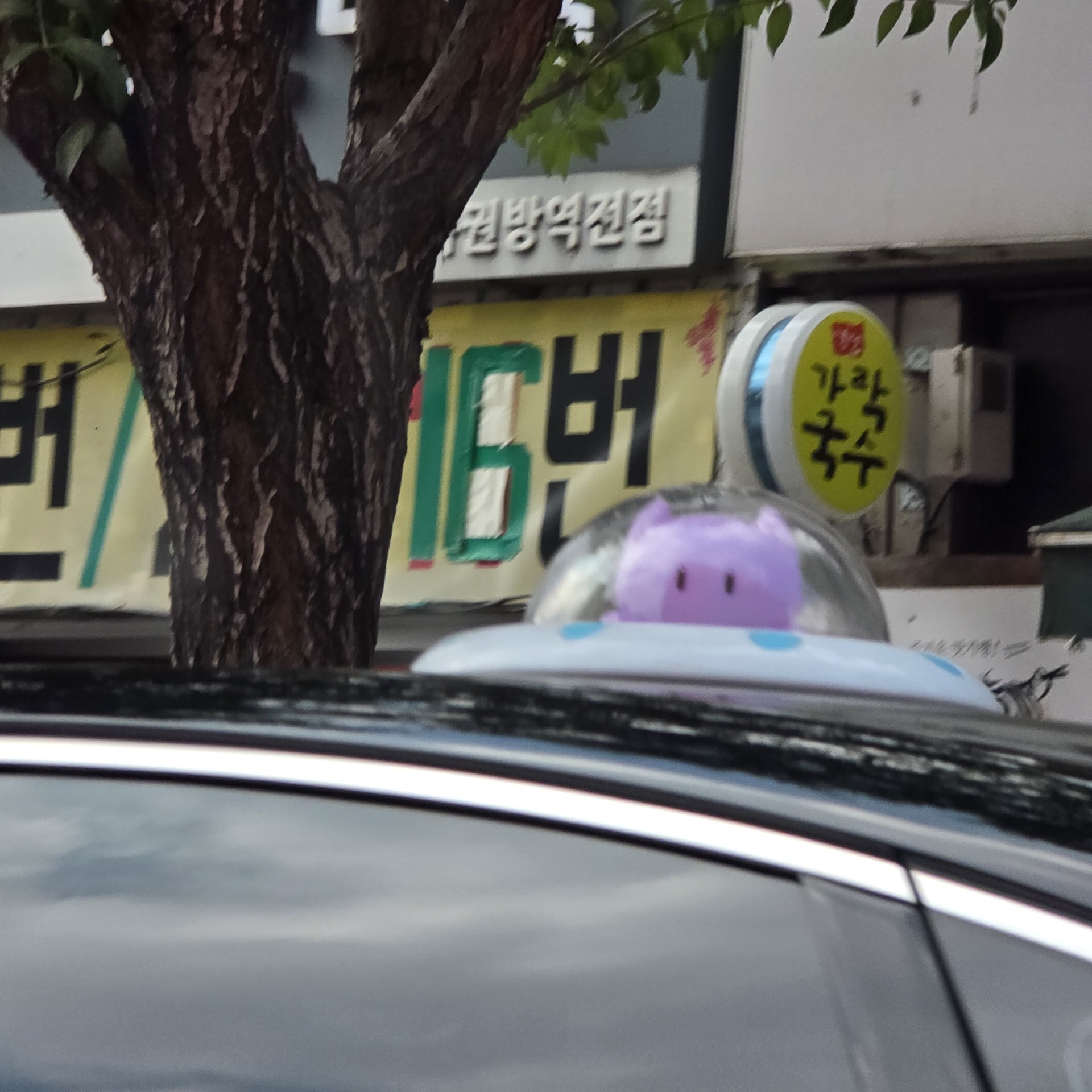 담다디담 ℯ𝒹𝒶