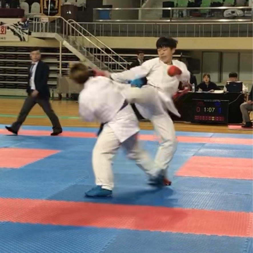 똥블리