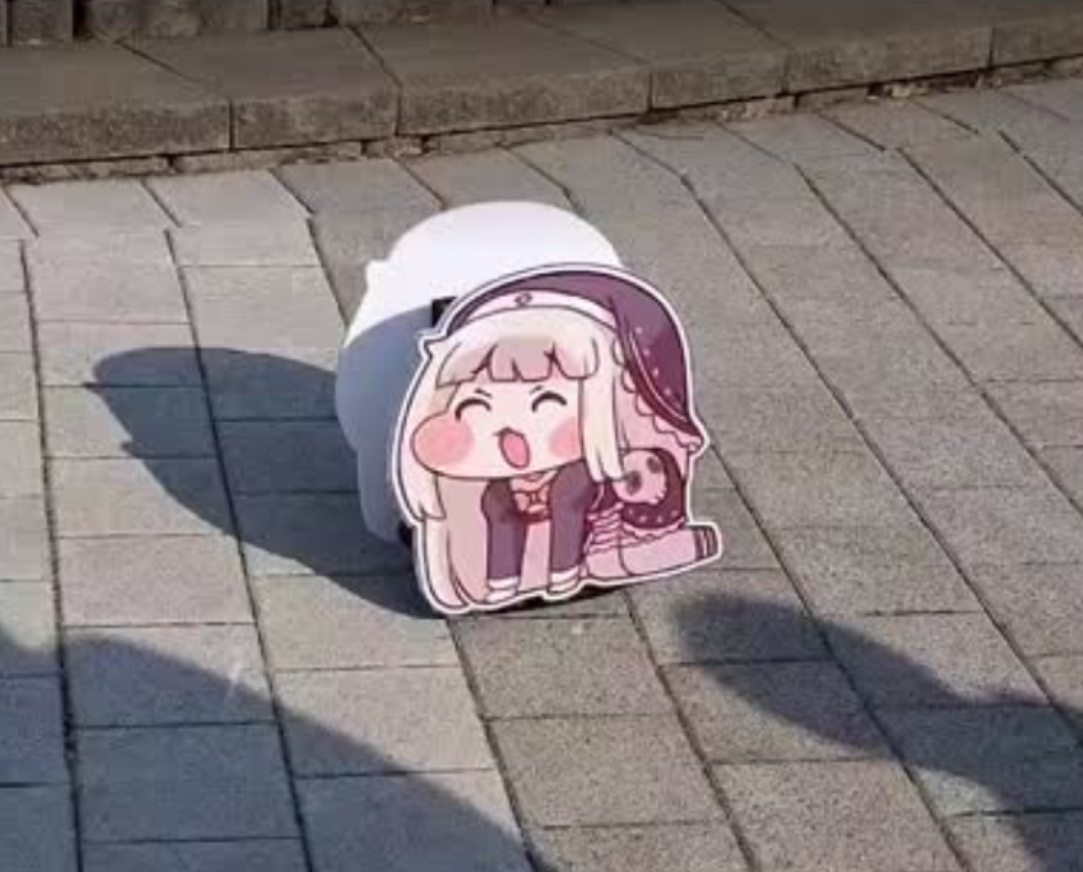 낌  커  피 ₍ᐢ- ̫ - ᐢ₎