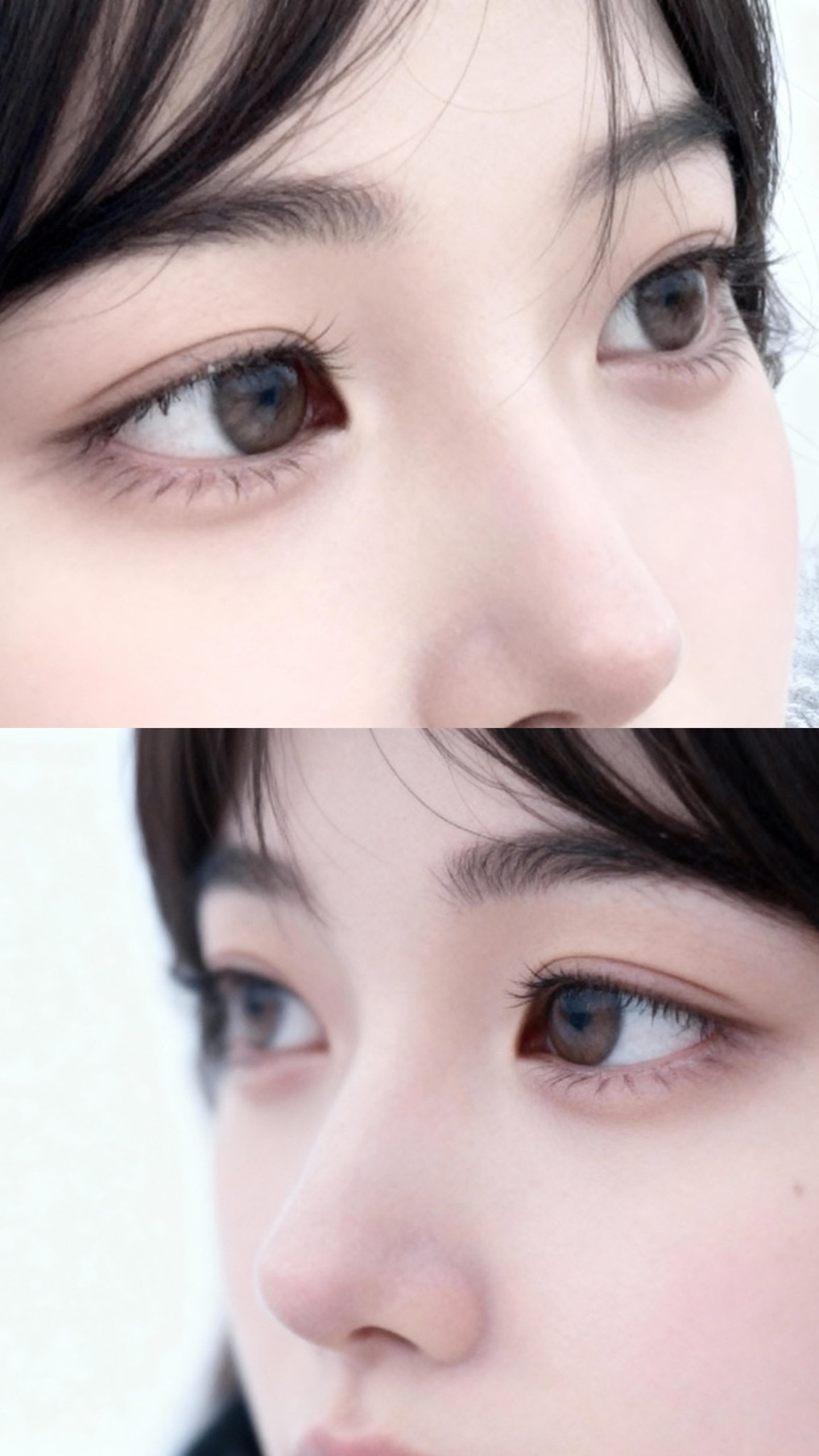 개와 늑대의 시간