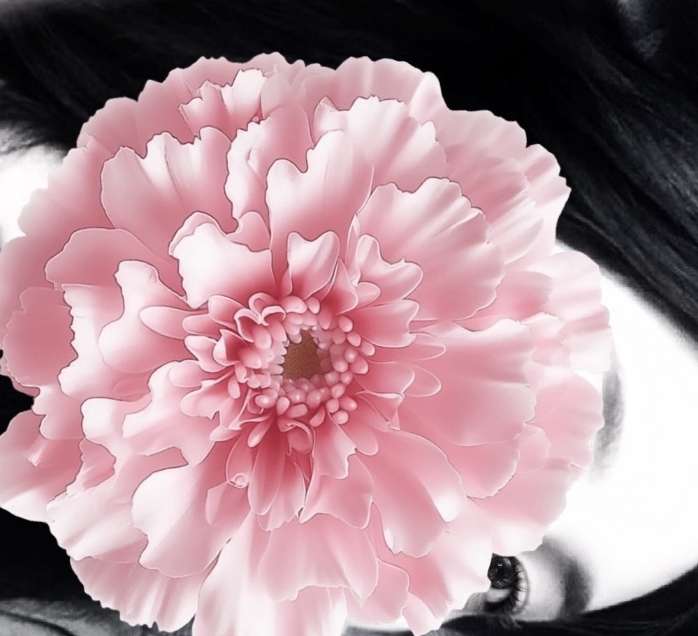 𝚍𝚊𝚗 𝚍𝚊𝚗 jjang'◡'ღ