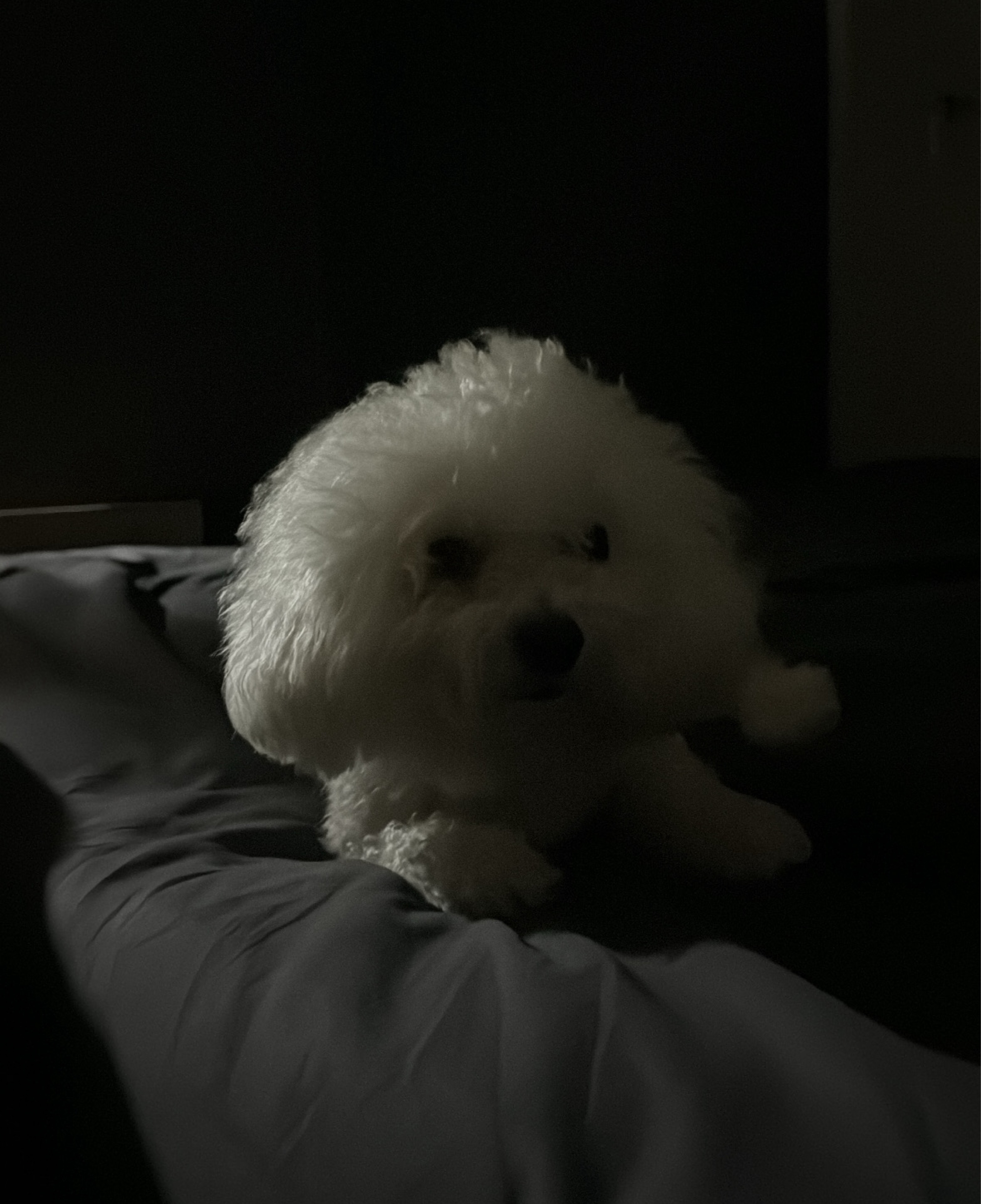 👶🏻 예 수 님