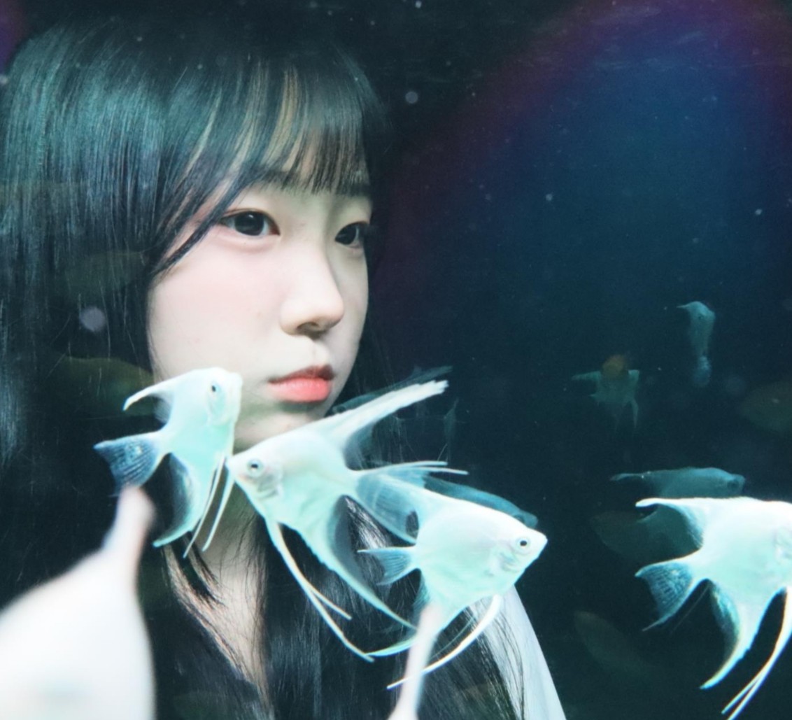 엊쩌라구요