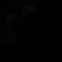 ㅤ