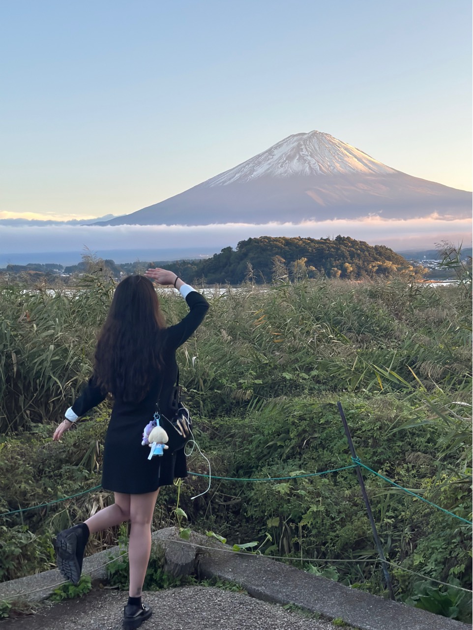 🌸 ♰ 인 연 _ ☾。⁺ 🐳 🌸