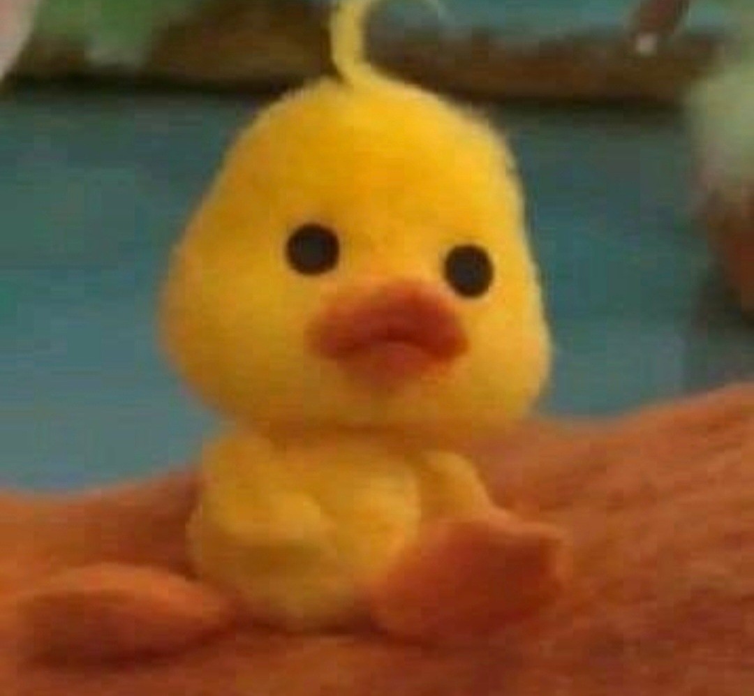 병아리 🐤 