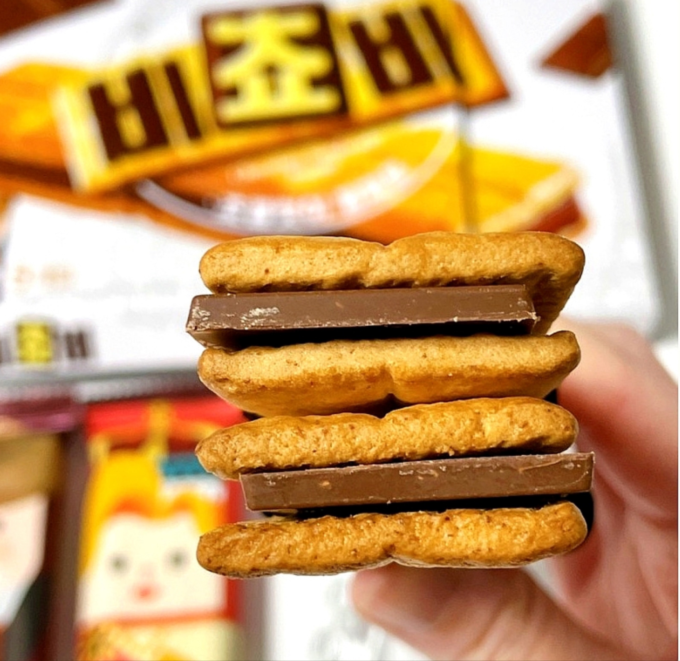 다해랑 미 쯔 ⋆☼*