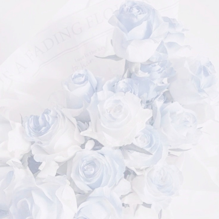 ･｡ﾟ로아𝔂𝓮𝓸𝓷⁺𓆩☪︎𓆪