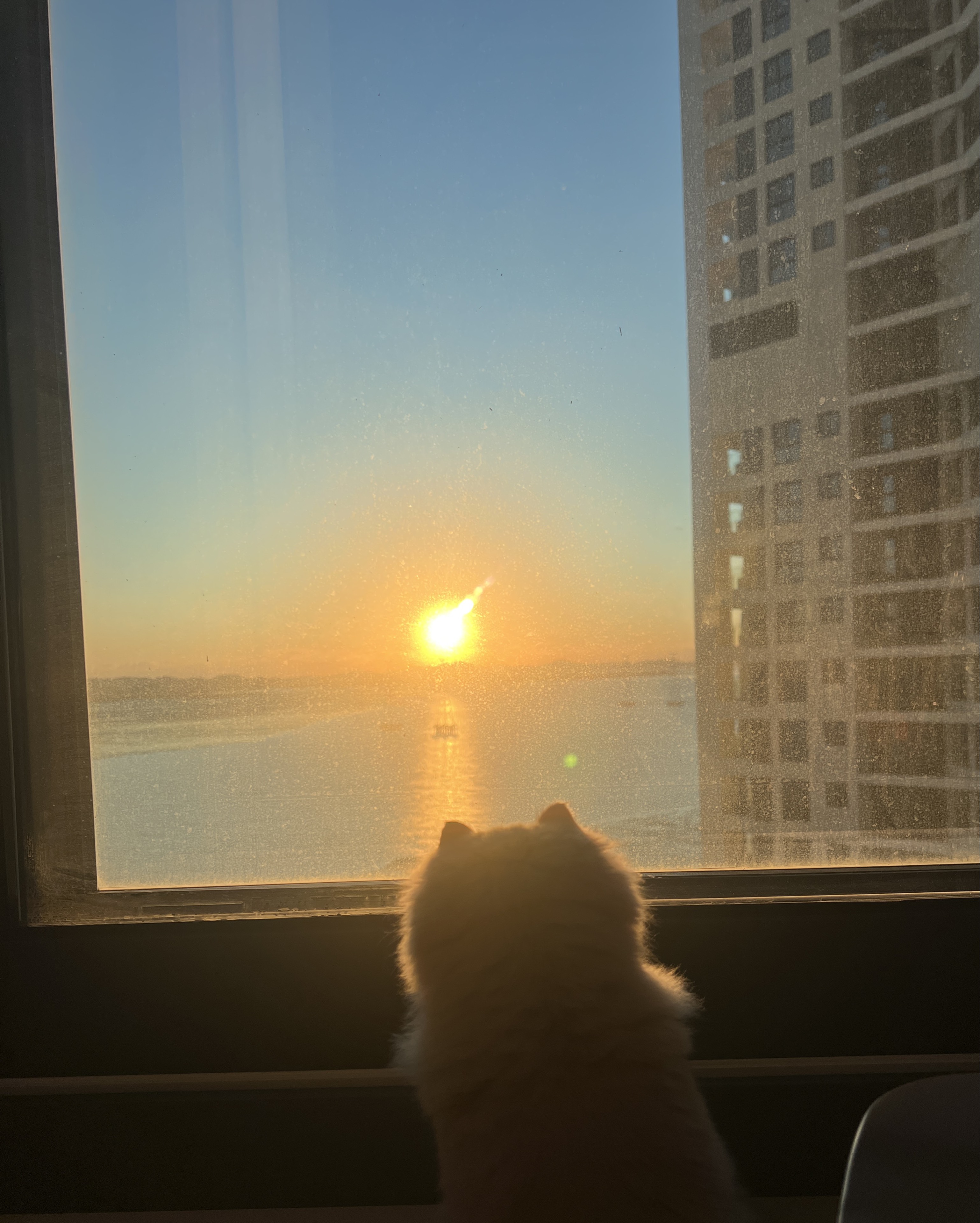 유 뻐큐뻐큐 ウ゚v゚)ウ 🧸ིྀ