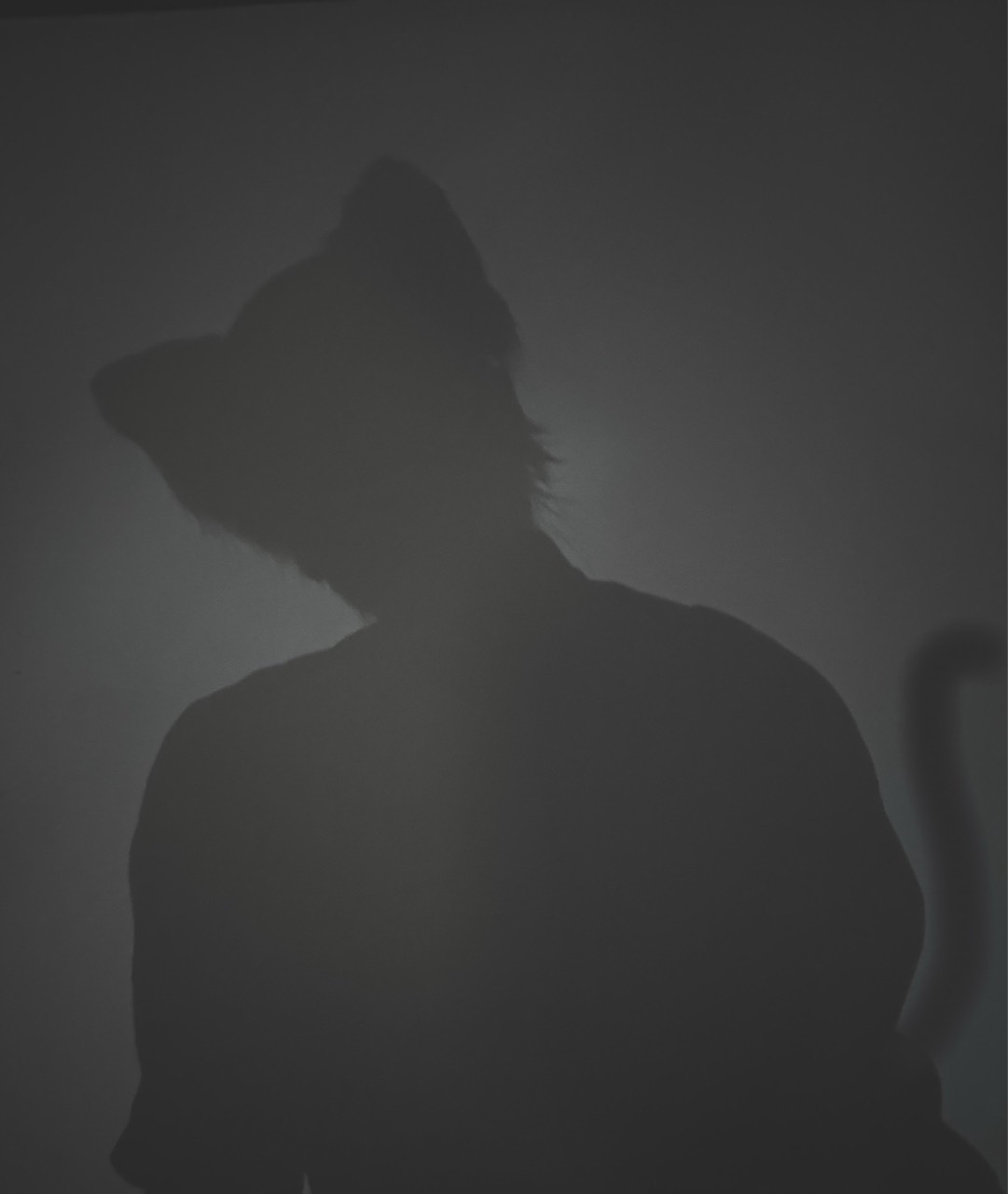 𝙠𝙤𝙠𝙤_