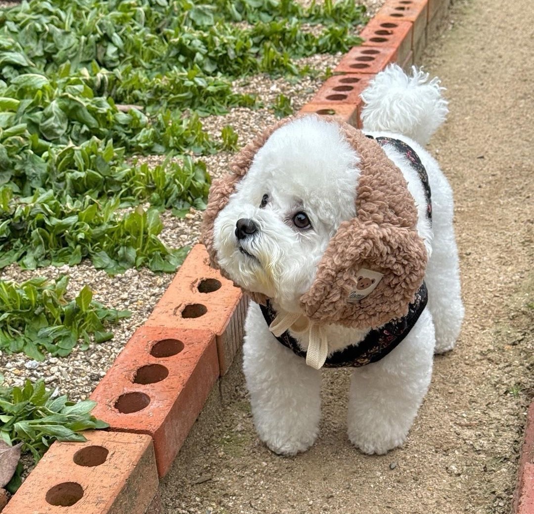 🄰°쪙쓱☺️'ᵜ'