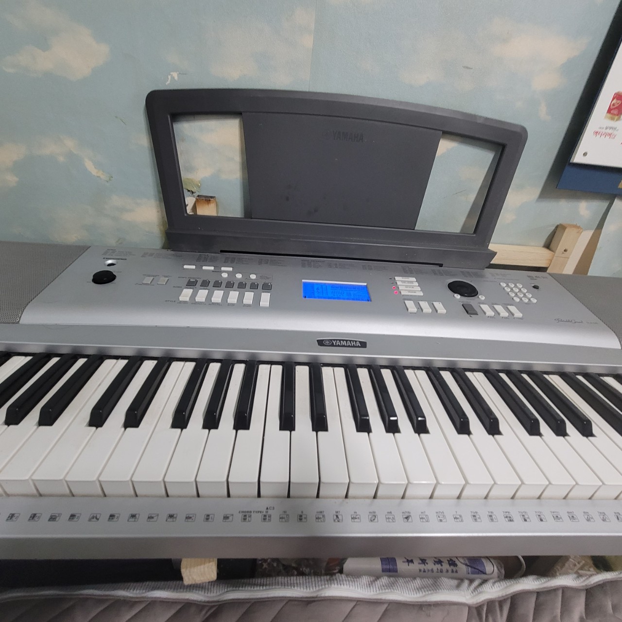 뽕짝 연주자 🍒🤍໘🌙☀︎ꕤ