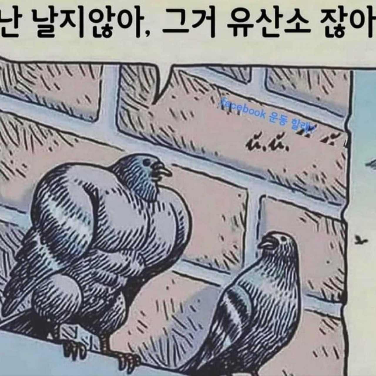 망할광고🐤