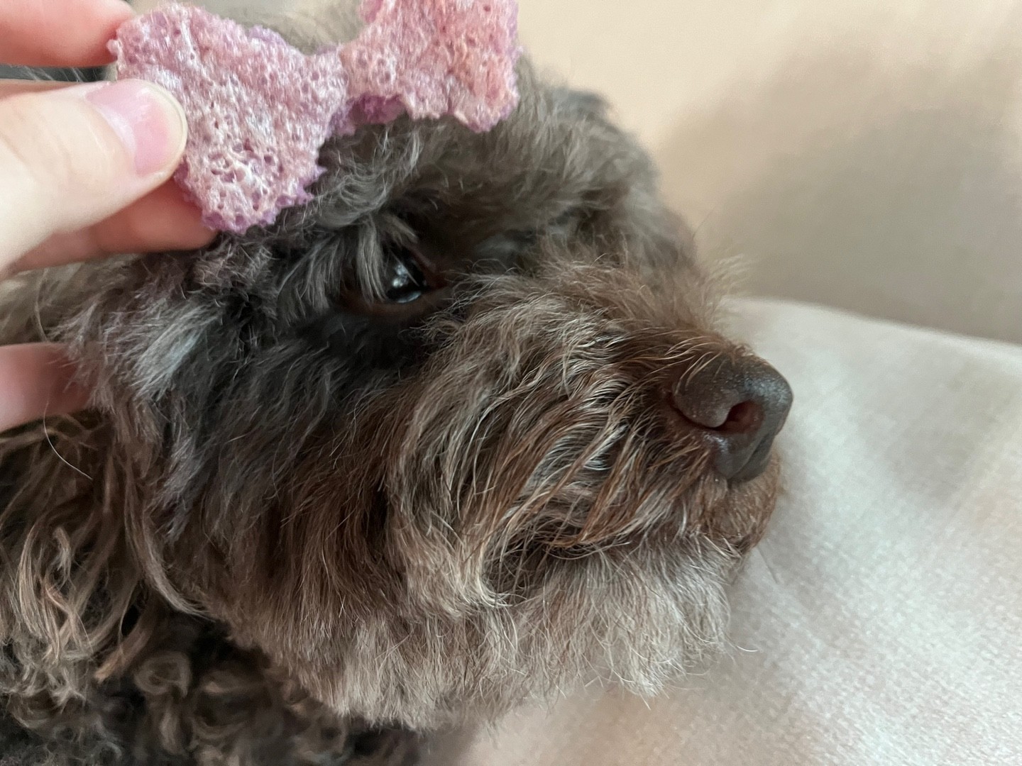 D͙a͙l͙⋆｡미녀💫