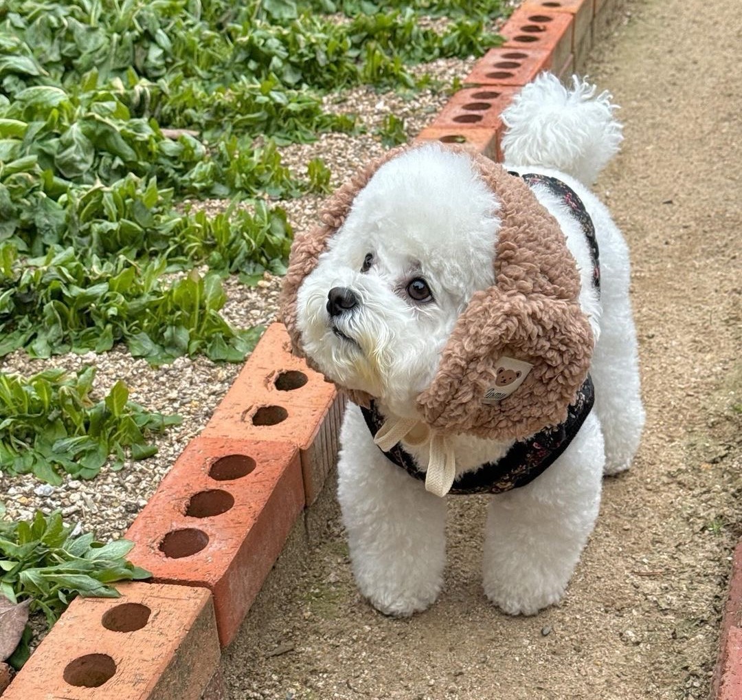 🄰°쪙쓱☺️'ᵜ'