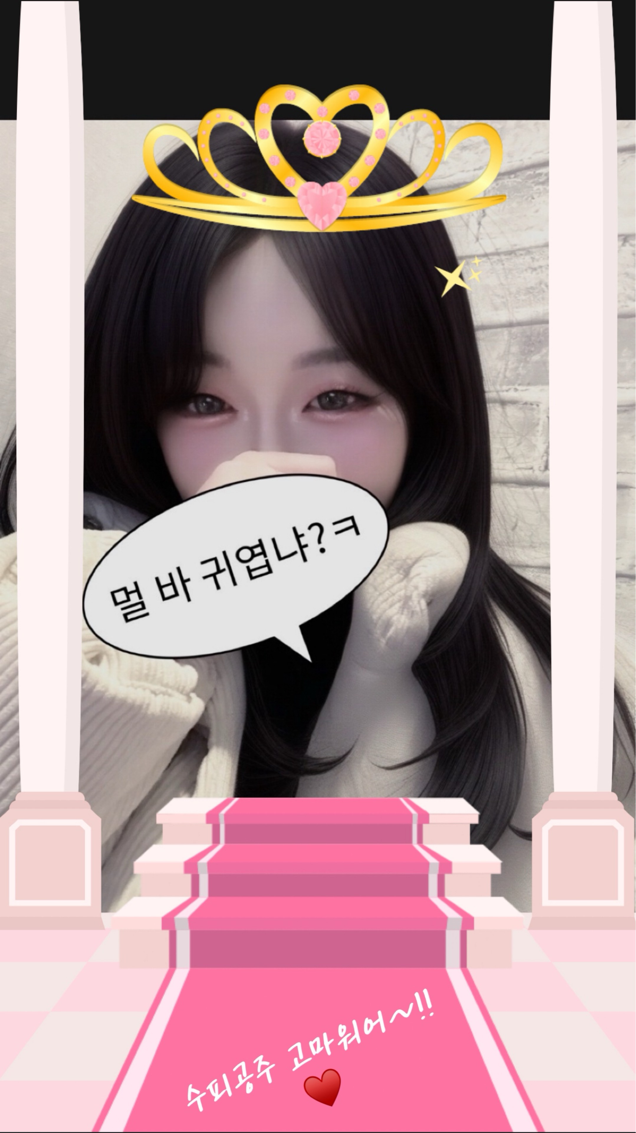  ˙˚ʚ 정 블 리 ɞ˚˙ 