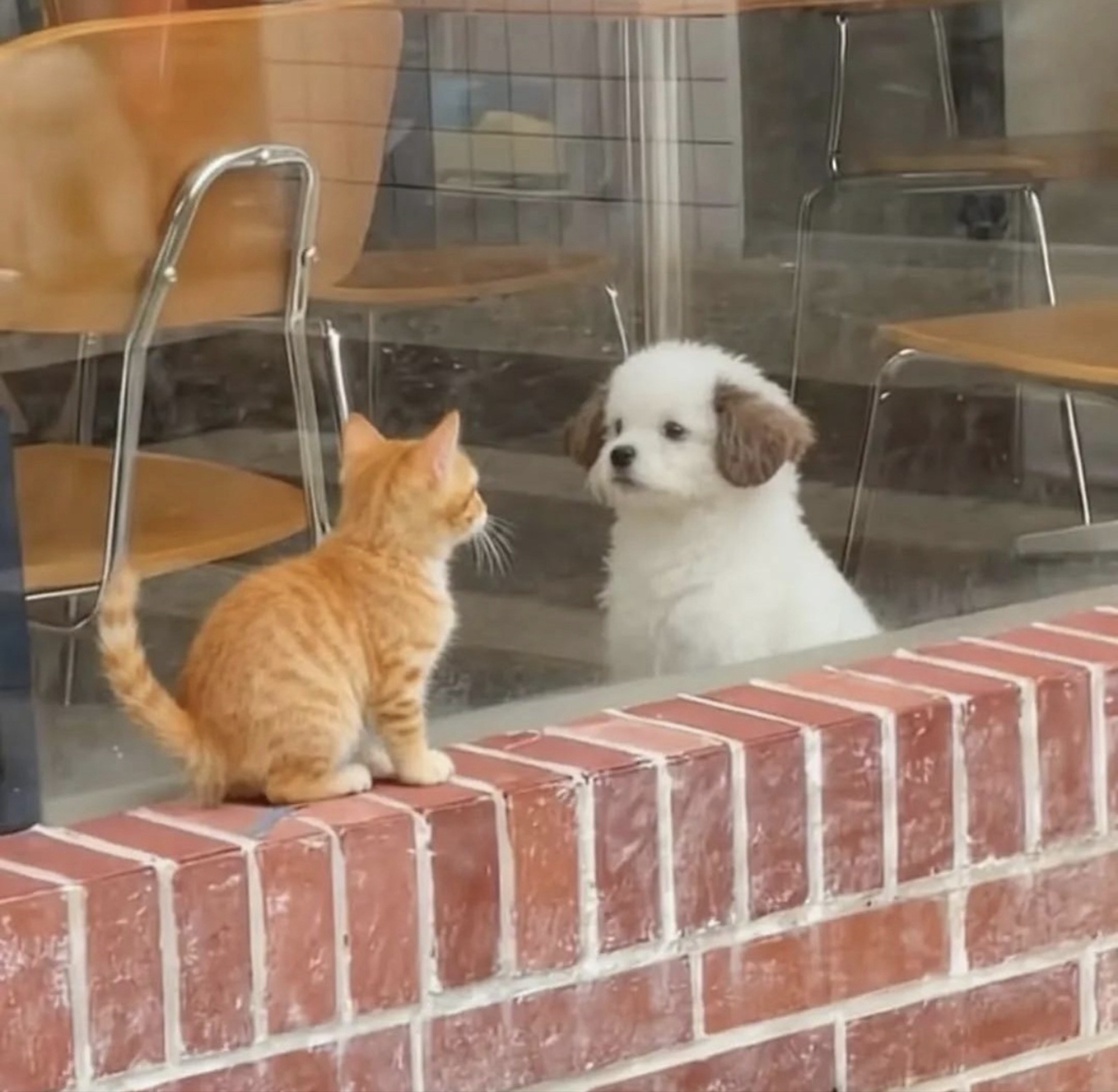 ꘪ *·˚ 서 뮤 어