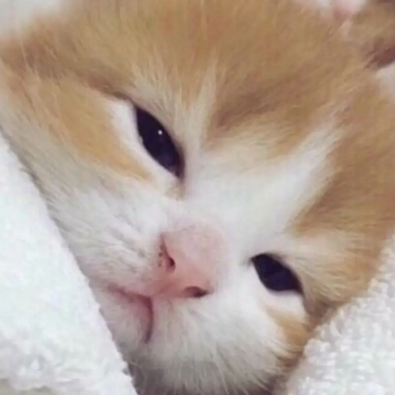 핳핳핳핳핳핳📖