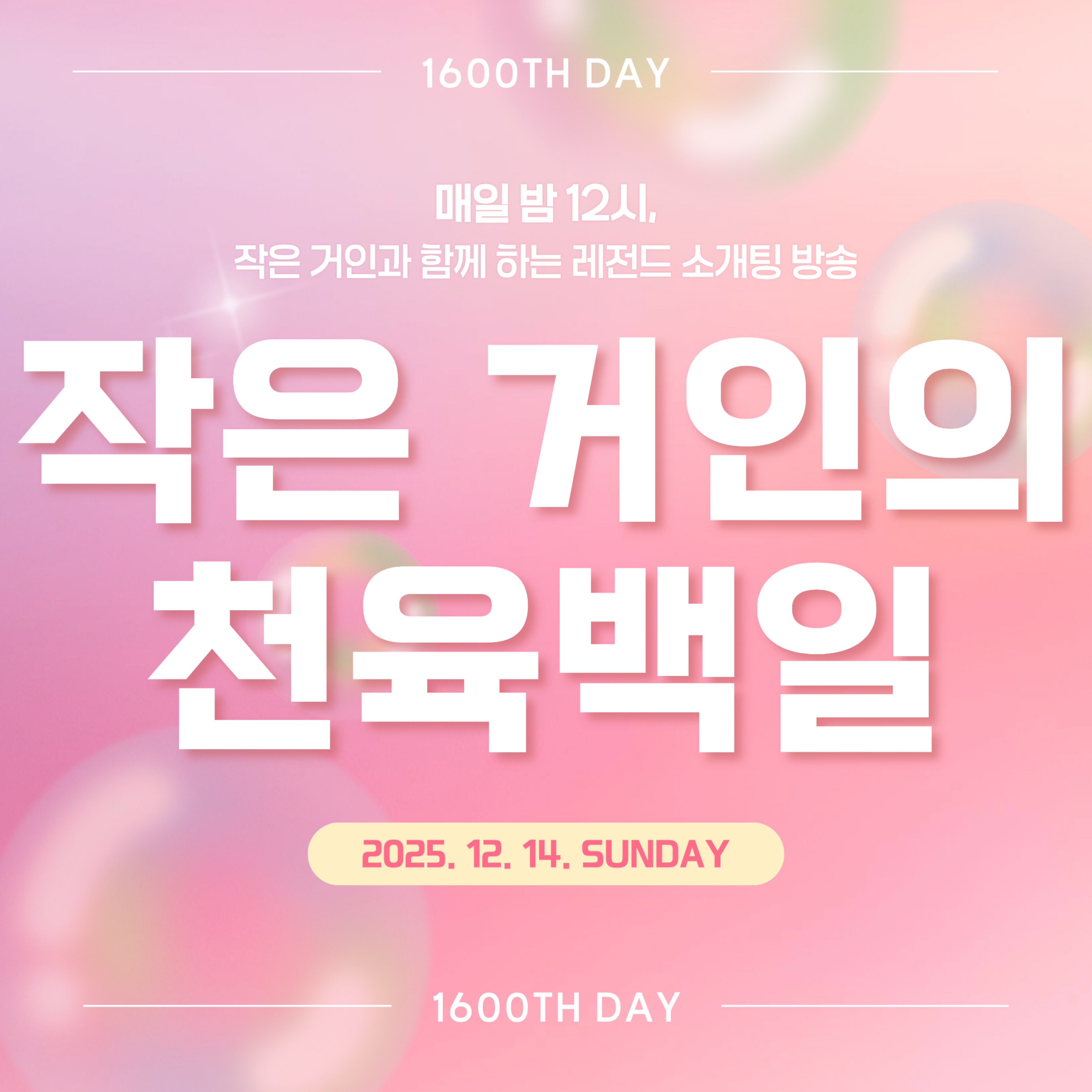 작은거인 1600일 D-1🎉