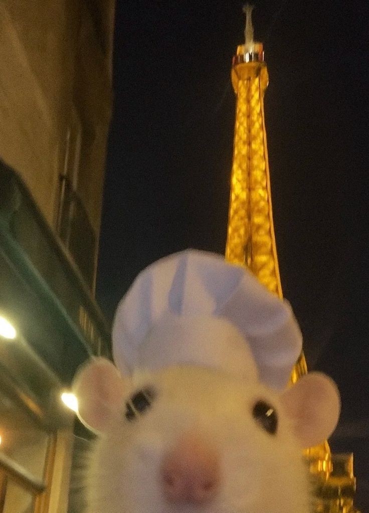 ⚤︎아린이ᴴ⚜ｉ²ꍏ🍨