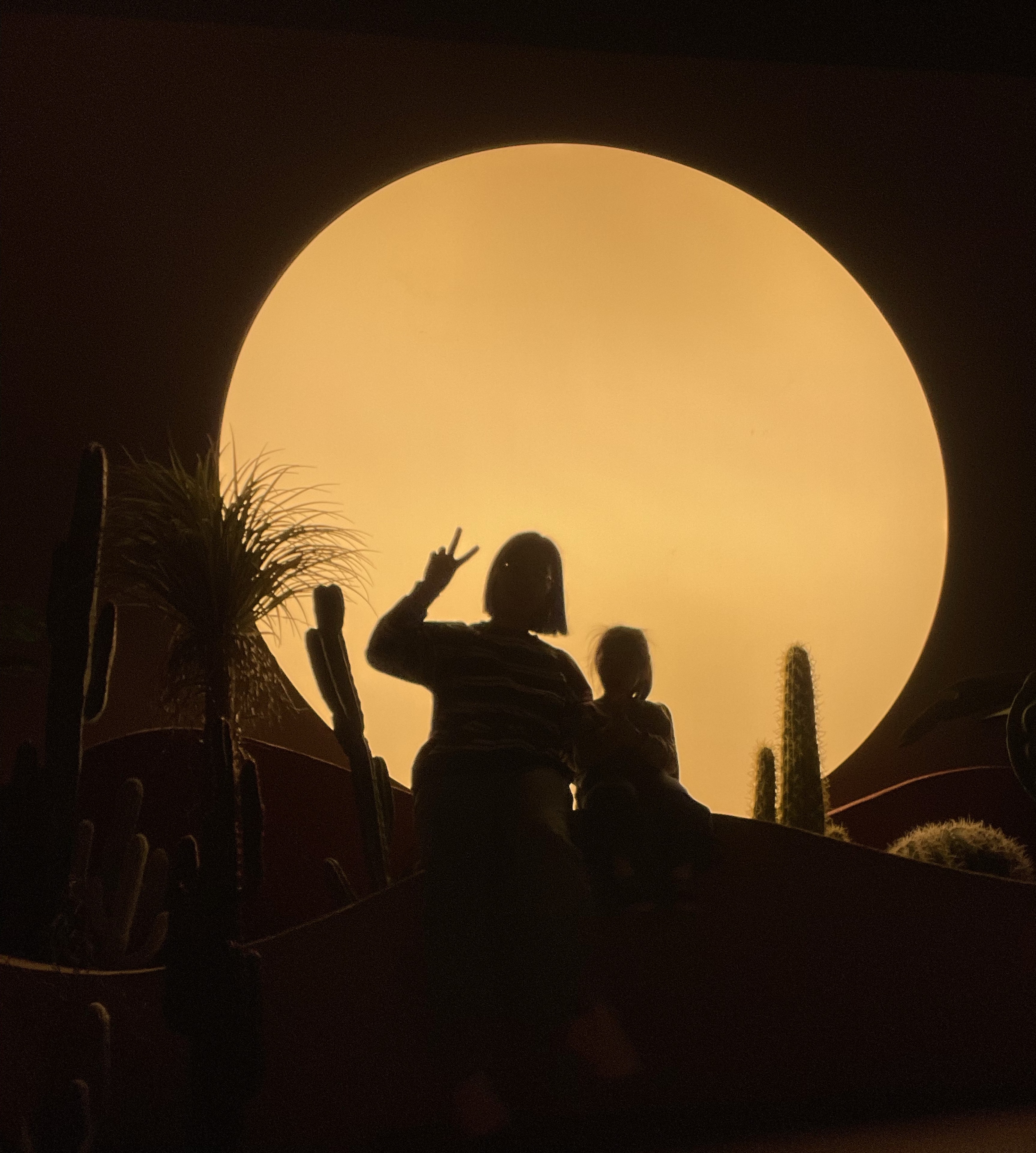 ⅅ℃ 어닝         .∗̥⁺హ