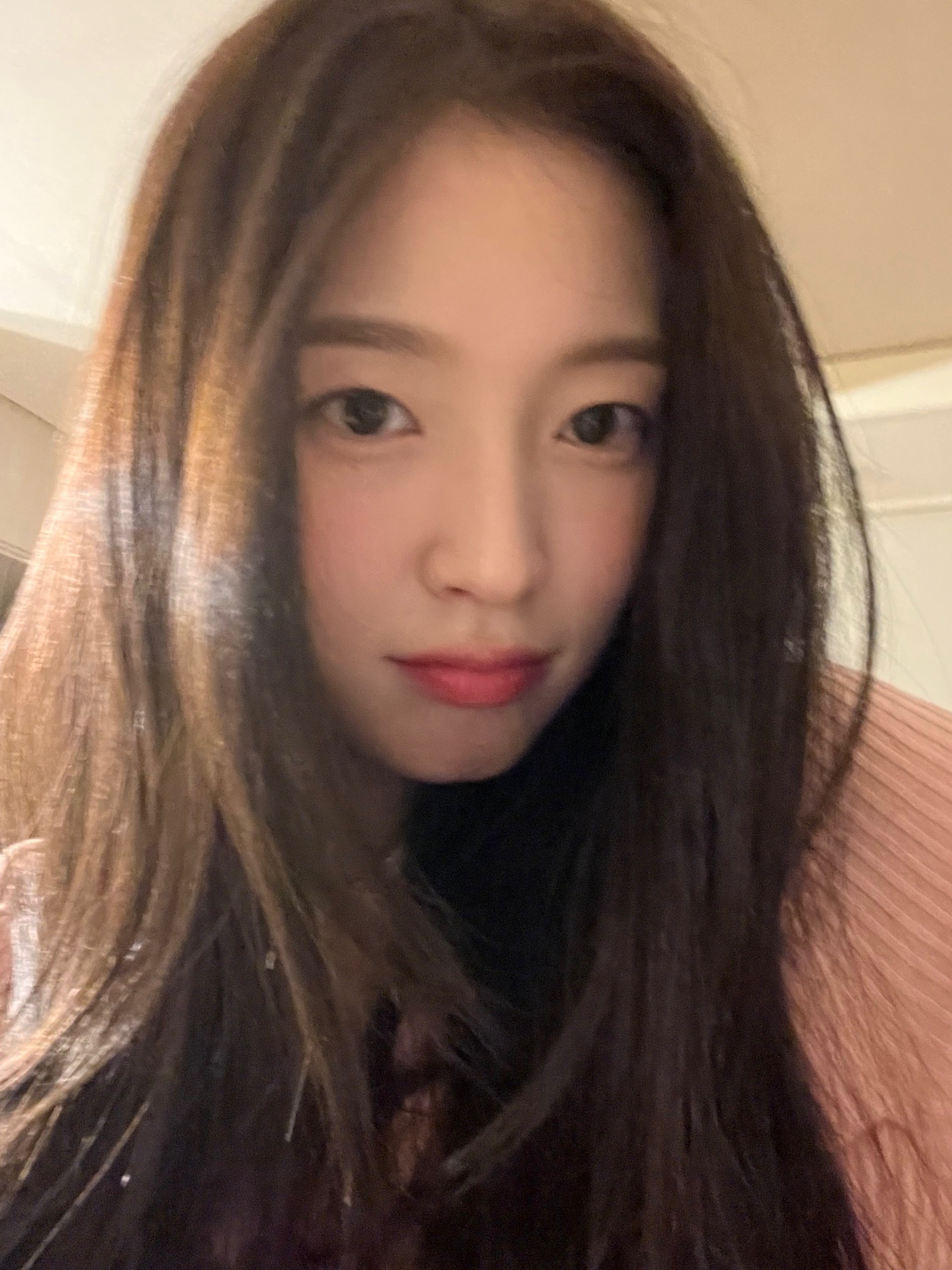 🐰아린이만의ᕙ 해바라기 사랑 ᕗ🐰