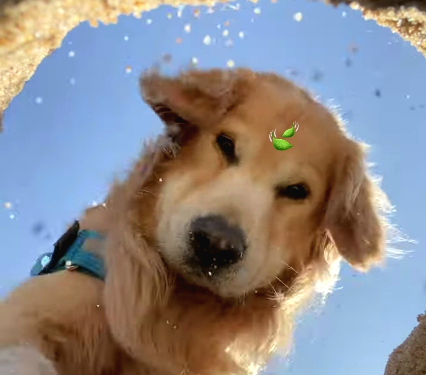 ๐๋ฆฐ๋น ๐ โ๏ธ