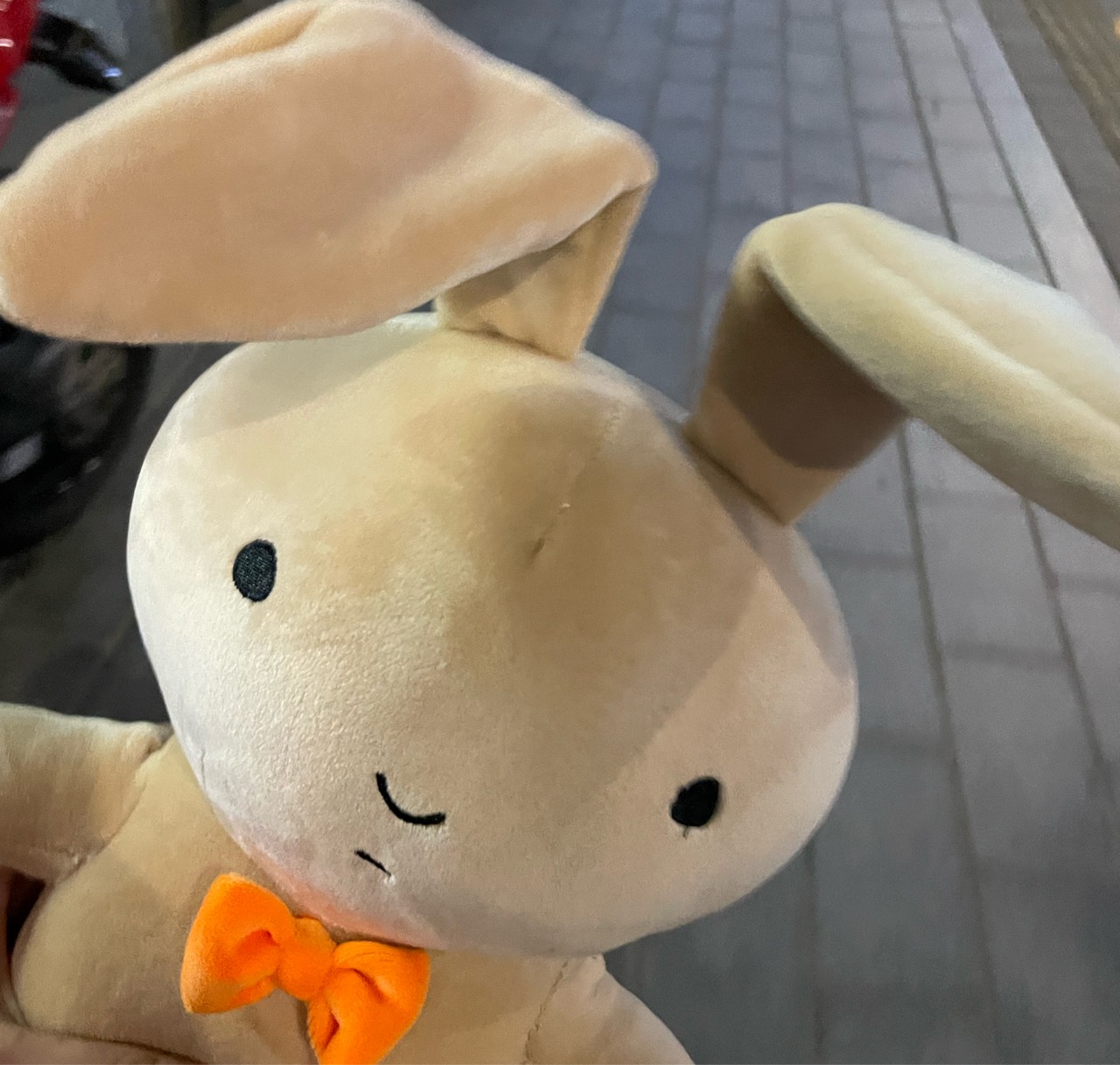 아 윤