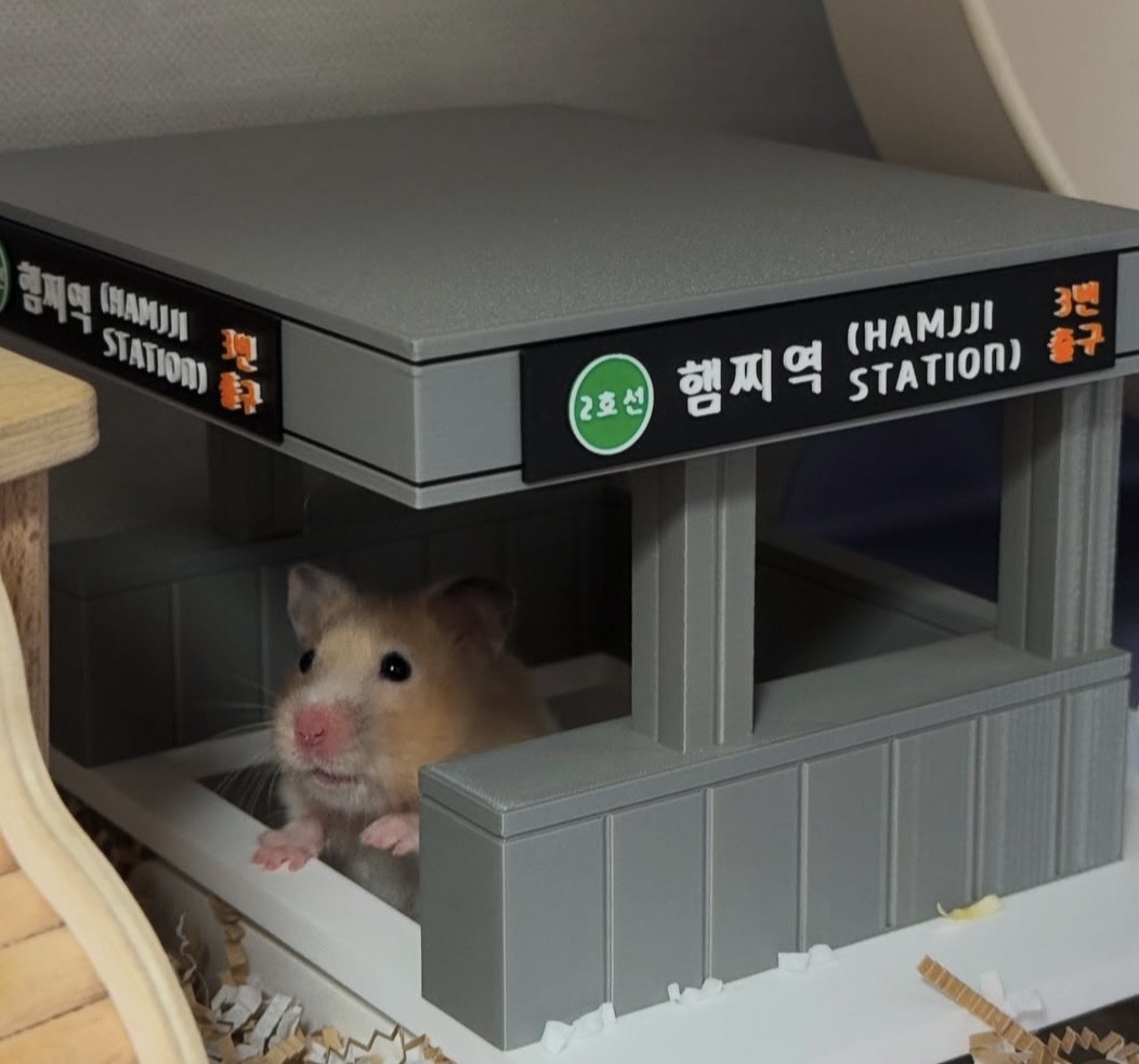 다인만의 햄찌찌˚‧ෆ₊