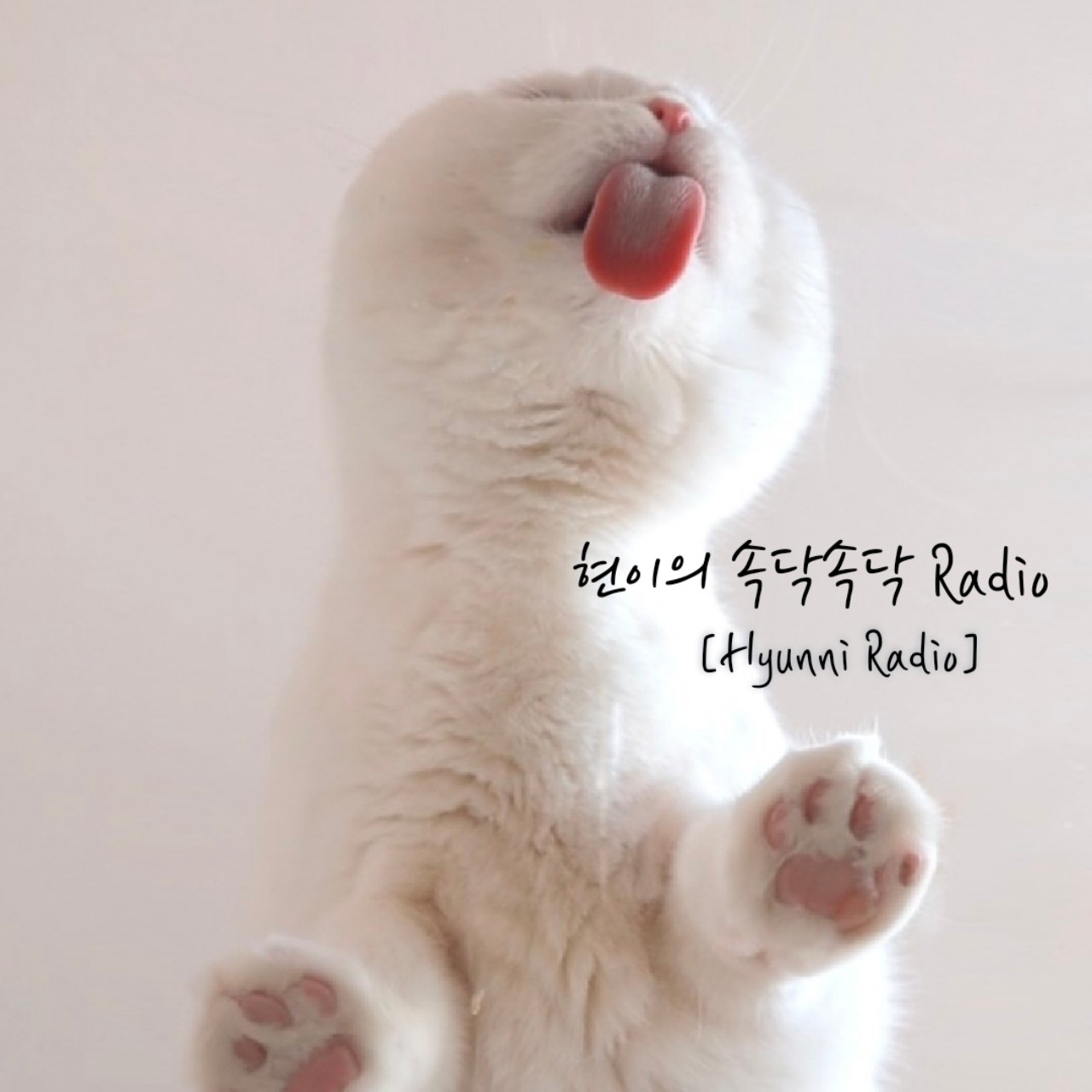 현이  𐂾ª𖠄🌰ᴿᴶ