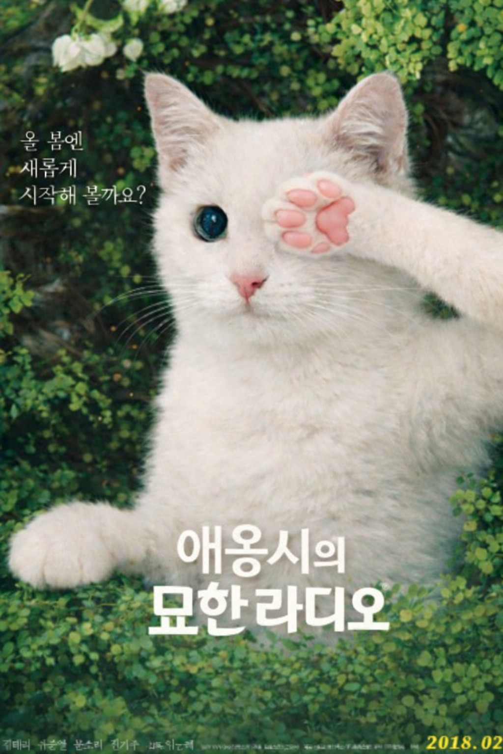 애옹시의 묘한 라디오ツ 🍊