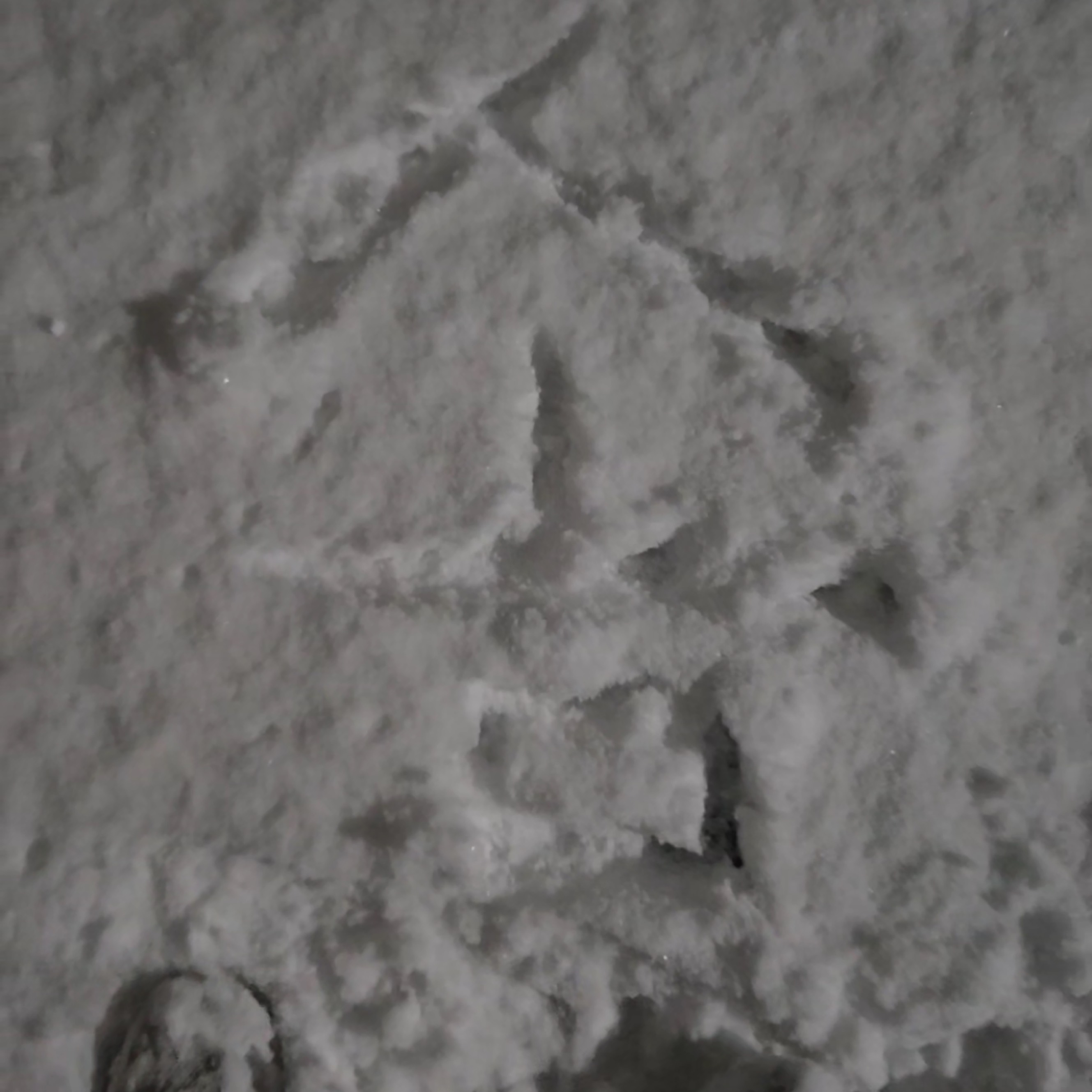 솜𝐀𝐒𝐌𝐑 ‧̊·*