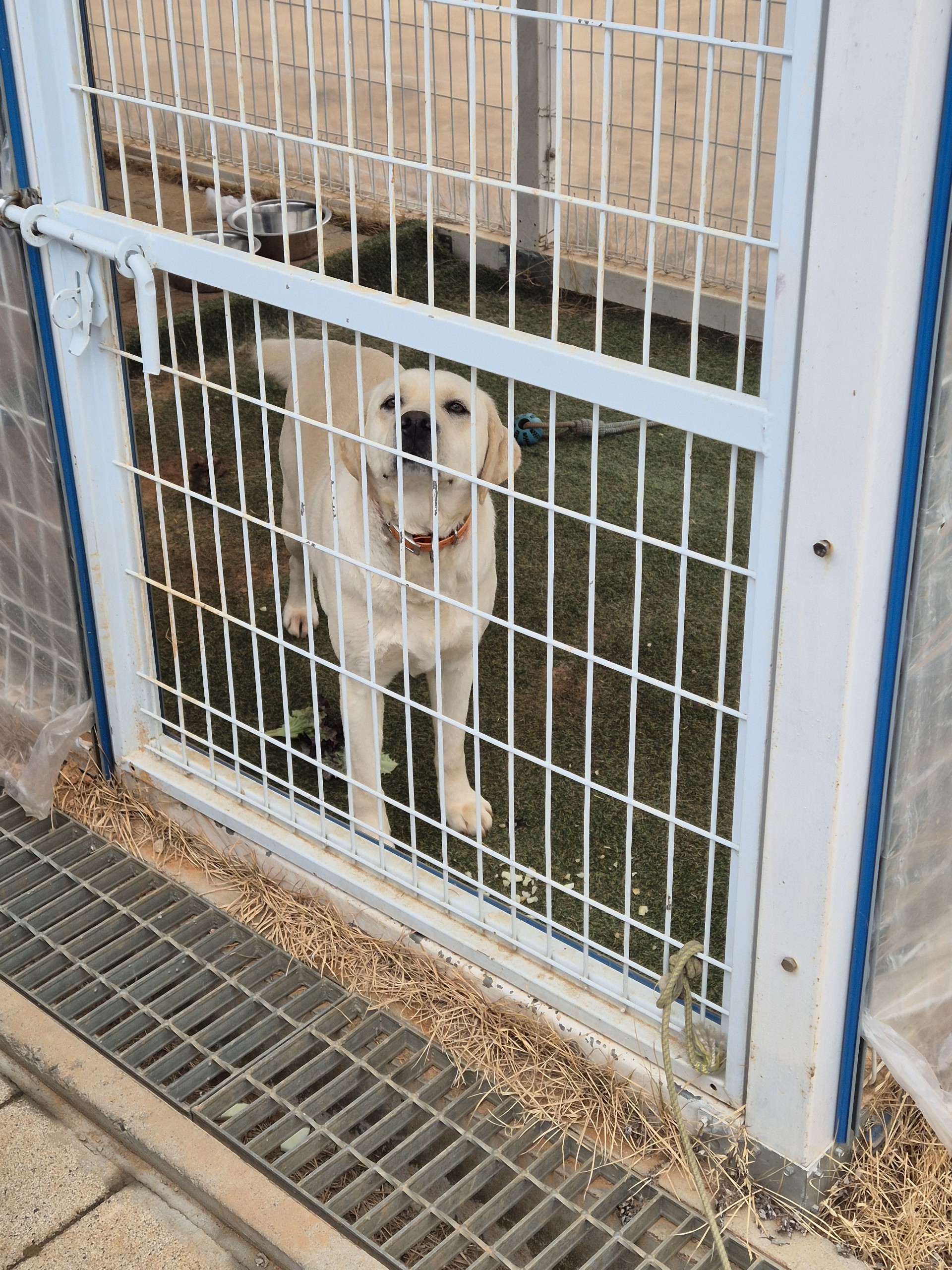 다해랑 동 글 ⋆☼*